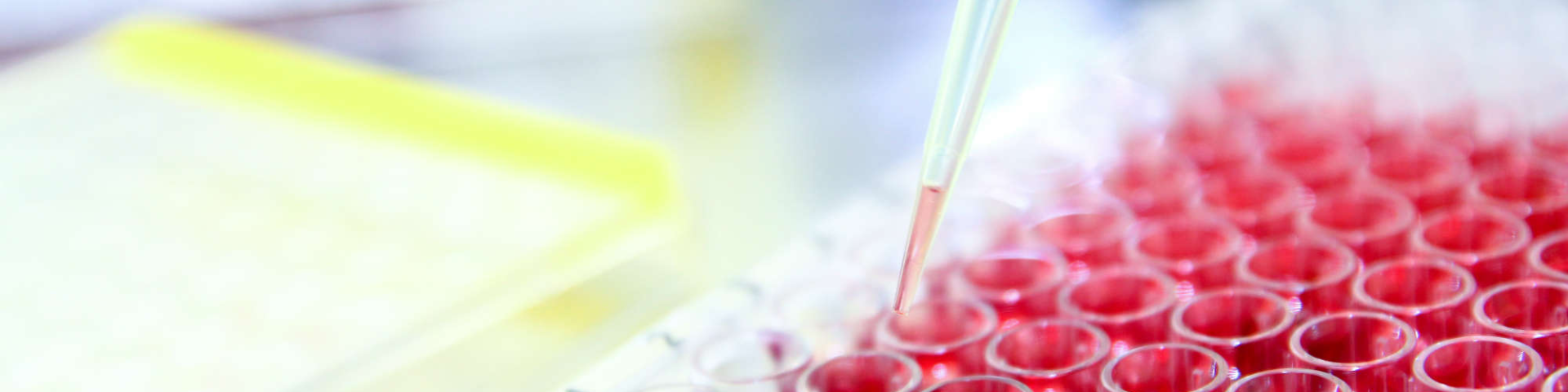 Biomedical Science