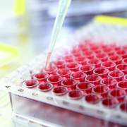 Latest Biomedical Science Jobs