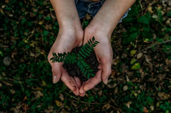 Pioneering a greener path in healthcare recruitment