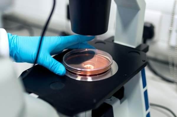 Locum Biomedical Scientist Careers Toolkit - The Definitive Guide to Working as a Locum Biomedical Scientist