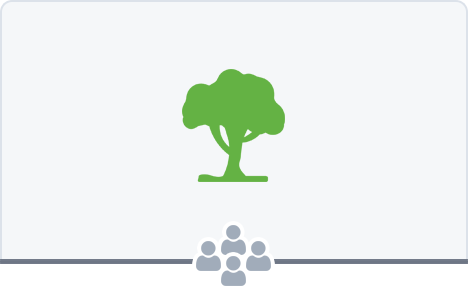 1 Tree