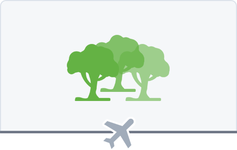 20 Trees