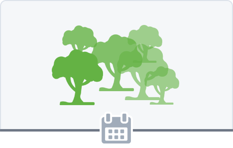 50 Trees